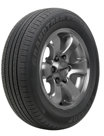 Dunlop GRANDTREK PT30